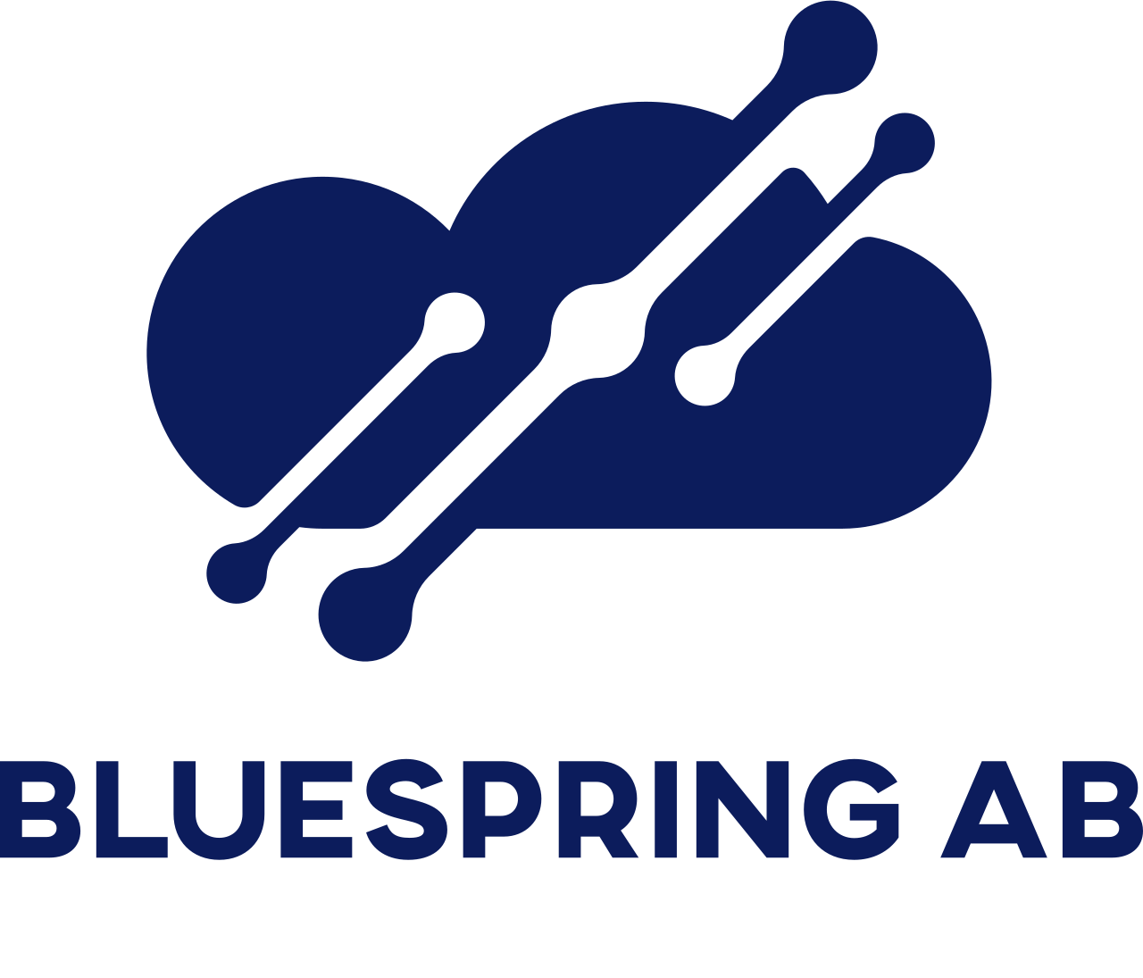 Bluespring AB